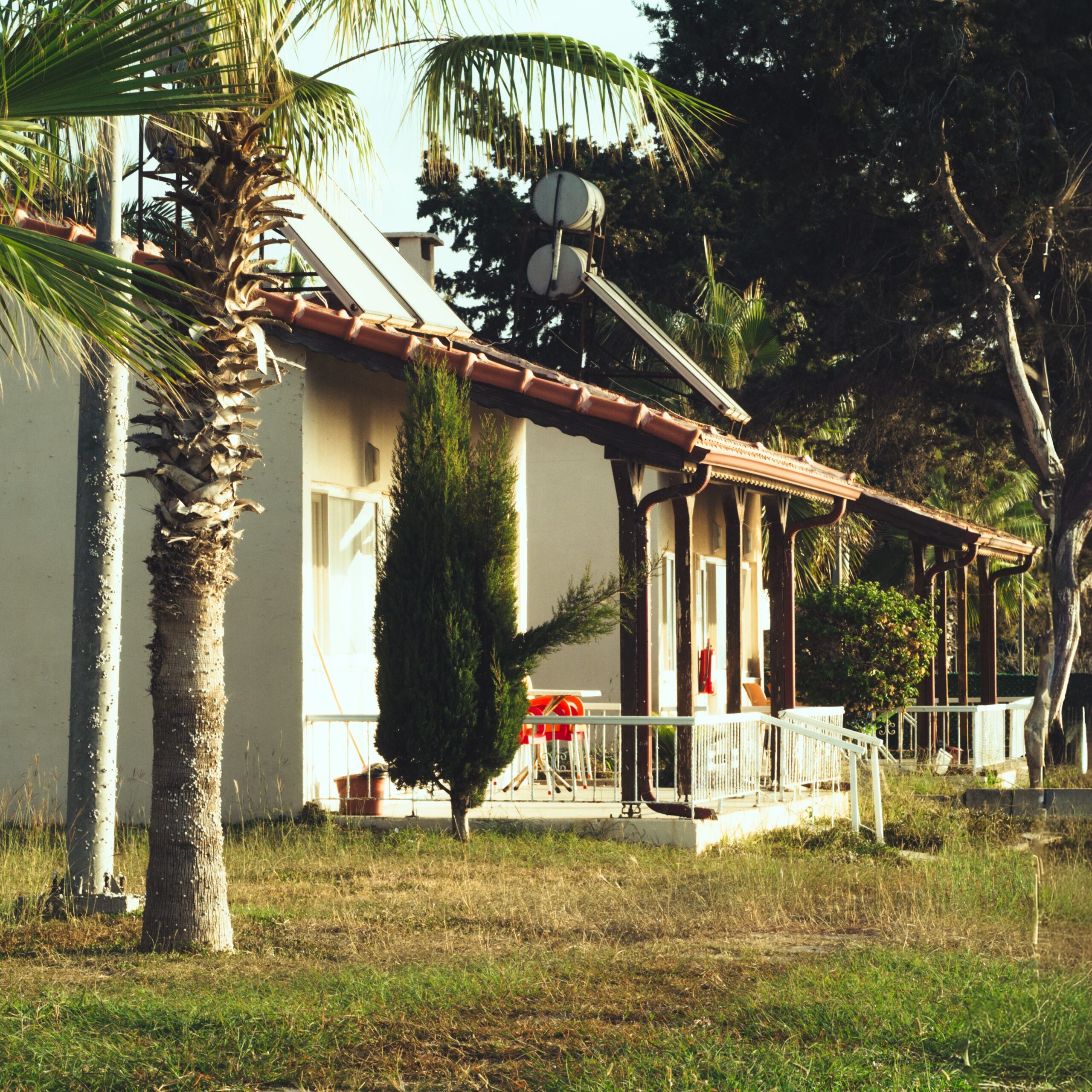 A warm view of a quaint bungalow surrounded by lush palm trees and greenery under a clear sunny sky.